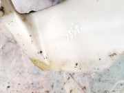 Scheibenwaschbeh?lter Vorne Wischwasserbeh?lter Peugeot 806 1994 - 2002 Gebraucht,