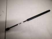 Gasdruckfeder Kofferraum Renault Megane, II 2002.11 - 2006.06 8200051750,