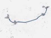 Stabilisator Stabi Hinten Hinterachse Nissan Qashqai, I 2006.01 - 2010.06 Gebraucht,