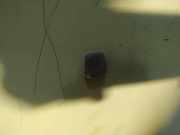 Waschwasserdüse Scheibenreinigung Fiat Doblo, 2005.10 - 2009.08 Gebraucht,