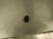 Waschwasserd?se Scheibenreinigung Toyota Yaris, I (XP10) 2003.03 - 2005.09 facelift Gebraucht,