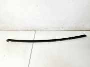 Zierleiste Leiste - Hinten Linke Daihatsu Sirion, 2005.01 - 2011.12 Gebraucht,