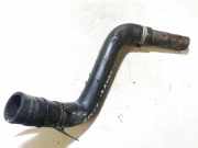 Kühlerschlauch Mazda 2, DY 2003.02 - 2007.10 Gebraucht,