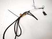 Antenne Verstärker Ford Galaxy, Mk I 2000.04 - 2006.04 facelift 7m5035550, ym2f18812aa