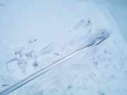 Dachreling Rechts Skoda Superb, II 2008.03 - 2013.06 3t9860026,