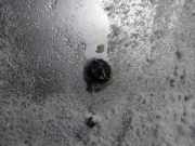 Waschwasserdüse Scheibenreinigung Opel Vectra, B 1995.09 - 2000.09 Gebraucht ,