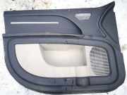 Türverkleidung - Vorne Linke Dodge Journey. 2009.01 - 2014.12 100013145,