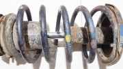 Fahrwerksfeder vorne Chevrolet Lacetti, 2004.01 - 2011.12 Gebraucht,