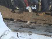 Zierleiste Tür Zier-Schutzleiste - Vorne Linke Audi A4, B5 1994.11 - 1999.09 Gebraucht,