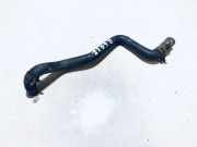 Kühlerschlauch Renault Clio, 2005.05 - 2009.06 Gebraucht,