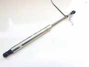 Gasfeder für Motorhaube Volkswagen Phaeton, 2002.04 - 2006 3d0823359b, AYT