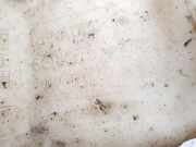 Scheibenwaschbehälter Vorne Wischwasserbehälter Renault Vel Satis, 2002.06 - 2009.12 8200022568,