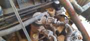 Einspritzdüse Citroen Berlingo, I 2002.11 - 2008.04 facelift 0445110062, 9640088780