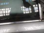 Zierleiste Leiste - Vorne Rechts Opel Vectra, C 2002.04 - 2005.10 Gebraucht,