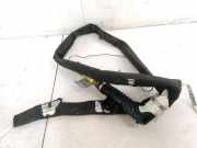Kopfairbag - Vorne Rechts Renault Scenic, II 2003.06 - 2006.06 Gebraucht ,