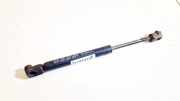 Gasdruckfeder Kofferraum Volkswagen Bora, 1998.01 - 2005.12 29231,37637 AXR