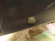 Waschwasserdüse Scheibenreinigung Citroen Evasion, I 1994.01 - 2002.12 Gebraucht,