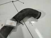 K?hlerschlauch Iveco Daily, 2006.01 - 2011.06 Gebraucht,