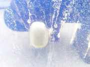 Waschwasserd?se Scheibenreinigung Nissan Almera, N16 2003.01 - 2006.12 facelift Gebraucht,