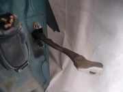 T?rfangband T?rbremse T?rstopper - Vorne Rechts Opel Vectra, C 2002.04 - 2005.10 Gebraucht,