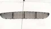 Kühlergrill - Vorne Center Mercedes-Benz W211, 2002.03 - 2006.04 A2118850053,A2118850053