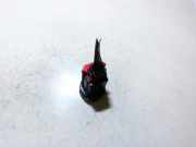 Zündanlassschalter Start-Stop Toyota Auris, I E15 2006.10 - 2012.10 15A8541,2005DJ0924 968V7601828