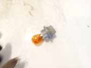 Gl?hbirnenfassung Blinker Kia Carens, 2006.09 - 2013.03 Gebraucht,