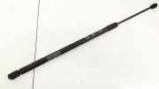 Gasdruckfeder Kofferraum Renault Scenic, I 1999.09 - 2003.06 facelift Gebraucht,