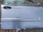 Zierleiste Tür Zier-Schutzleiste - Vorne Rechts Citroen C5, I 2001.03 - 2008.02 Gebraucht,