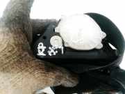 Sicherheitsgurt - Vorne Rechts Volkswagen Passat, B6 2005.08 - 2010.11 3C1857706, 3C1857706F BKP