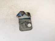 Türscharnier Hinten Volkswagen Golf, IV 1997.08 - 2003.10 Gebraucht, AUY