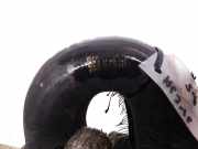 K?hlerschlauch Opel Zafira, A 1999.04 - 2003.11 24421116,