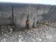 Heckklappe Heckklappenschloss Kofferraumschloss Ford C-MAX, 2003.01 - 2007.06 Gebraucht,