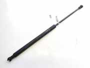 Gasfeder für Motorhaube Lexus IS, II 2005.10 - 2013.03 534400w101,53440-0w101