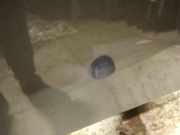 Waschwasserdüse Scheibenreinigung Alfa-Romeo Mito 2008.09 --> Gebraucht,