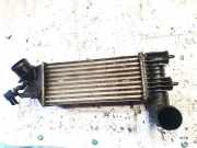 Ladeluftkühler Citroen C5, I 2001.03 - 2008.02 Gebraucht,