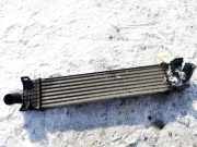 Ladeluftkühler Ford Focus, 2004.11 - 2008.06 Gebraucht,