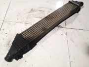 Ladeluftkühler Dodge Journey. 2009.01 - 2014.12 Gebraucht,