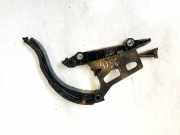 Gleitschiene Steuerkette Ford Focus, 1998.10 - 2002.10 xs406p250aw, xs406p250aw