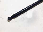 Gasfeder für Motorhaube Citroen C5, I 2001.03 - 2008.02 9628059280,