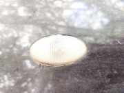 Blinkleuchte Kotfl?gel - Vorne Rechts Peugeot 206, 2002.07 - 2009.01 facelift Gebraucht,