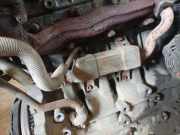 Abgaskühler AGR-Kühler Toyota Corolla Verso, III facelift 2007 - 2009 256800R01000,25680-0R010-00 1306-386-0001 13063860001