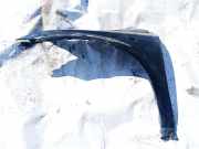 Kotflügel - Vorne Linke Nissan Murano, Z50 2003.08 - 2008.06 Gebraucht,
