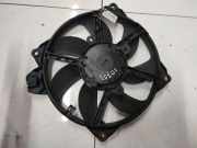 Kühlerlüfter Lüftermotor Renault Megane, III 2008.11 - 2012.06 M135493,M135493 100626205