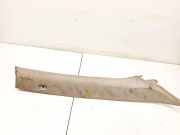 Innenausstattung BMW X5, E53 facelift 2004 - 2006 51438203865,