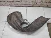 Radhausschale - Hinten Rechts Volkswagen Phaeton, 2007 - 2011 facelift Gebraucht , CEXA