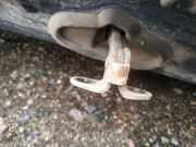 Türfangband Türbremse Türstopper - Hinten Linke Chrysler PT Cruiser, I 2000.01 - 2010.12 Gebraucht,