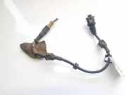 Kabelbaum Opel Signum, 2003.05 - 2008.06 Gebraucht,