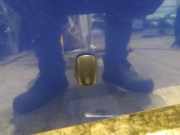 Waschwasserd?se Scheibenreinigung Kia Sportage, 2004.09 - 2010.01 Gebraucht,