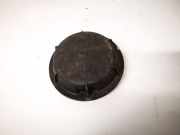 Blende Scheinwerfer - Vorne Peugeot 607, 2000.01 - 2004.07 89001146,89001146